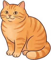A ginger cat, sitting up awake